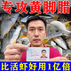 黃腳臘餌料黃鰭鯛專(zhuān)用海釣爆護神器夏季黃立魚(yú)大?；钗r通殺魚(yú)食 一包【試用裝】黃腳臘絕戶(hù)餌