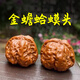 山中玉文玩核桃金蟾蛤蟆頭一物一圖實(shí)拍悶尖獅子頭手把件盤(pán)送新年禮物 39-40mm金蟾蛤蟆頭