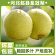 甄仙緣河北皇冠梨 當(dāng)季水果脆甜多汁 新鮮梨子 產(chǎn)地直發(fā) 凈重4.5斤