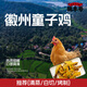徽豐號 徽州童子雞3只裝650g±50g/只 谷飼喂養(yǎng)真空凈膛生鮮雞肉 900g3只裝