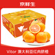 京鮮生 Vitor澳橙 澳大利亞紅肉臍橙 7斤禮盒 單果180g+ 新鮮水果禮盒