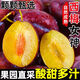 【頭茬-嘗鮮】正宗現(xiàn)摘西梅新鮮水果應(yīng)當(dāng)季女神西梅鮮果新貨速發(fā) 3斤帶箱(凈重2.5斤) 精選裝