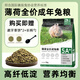 牛寵薄荷兔糧提摩西草飼料食品兔子磨牙零食寵物幼兔糧食主糧用品 薄荷成兔糧2kg