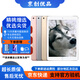 Apple 蘋果iPad 2017/2018/2019/2020款 二手平板電腦 二手平板 蘋果平板 iPadpro9.7寸WiFi版 128G WiFi版 95成新