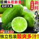 臺灣香水檸檬新鮮水果9斤1整箱批發(fā)奶茶店專(zhuān)用香水非無(wú)籽皮薄多汁 10顆 【中小果40-80g】約1.5斤