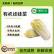 有機娃娃菜新鮮蔬菜葉菜火鍋青菜輔食小白菜黃心食材時令1200g 1200g有機娃娃菜