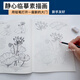 何佳功解壓靜心畫(huà)畫(huà)花卉動(dòng)物速寫(xiě)描摹本零基礎入門(mén)新手素描線(xiàn)描臨摹 【2冊】動(dòng)物+花卉速寫(xiě)描摹本