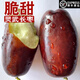 顏曼箐寧夏靈武長(zhǎng)棗新鮮脆甜冬棗脆棗當(dāng)季水果現(xiàn)摘整箱 2500g  現(xiàn)摘 精選品質(zhì)：【大果】個(gè)頭大更脆甜