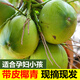 甘果有約海南椰子帶皮椰青新鮮椰子現(xiàn)摘帶皮青椰子椰青補(bǔ)羊水孕婦水果 4個(gè)帶皮（水少肉厚）