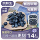 京鮮生 國產(chǎn)藍(lán)莓 6盒14mm+裝 125g/盒 生鮮水果 源頭直發(fā) 包郵