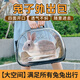 麥舒特兔子外出包寵物兔外帶便攜籠小寵龍貓手提包貓狗背包荷蘭豬旅行籠 體驗裝S號33x45cm 20片 小號