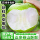 青皮碭山酥梨新鮮水果子當(dāng)季應(yīng)季時(shí)令翠冠蜜梨蘇翠一號(hào)脆甜多汁 凈重4.5斤（6-9個(gè)果）