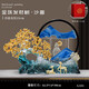 發(fā)財樹(shù)流沙畫(huà)擺件創(chuàng  )意中式客廳玄關(guān)辦公室桌面招財裝飾品喬遷禮物 金珠發(fā)財樹(shù)-沙畫(huà)【水晶漸變藍】 禮盒裝