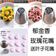 楠洛 俄羅斯裱花嘴一體立成型玫瑰花束蛋糕裱花袋頭子擠花嘴奶油工具 玫瑰+郁金香送葉子花嘴