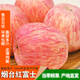 鮮苑胖胖煙臺(tái)紅富士蘋(píng)果3-9斤裝冰糖心脆甜爆汁當(dāng)季新鮮水果現(xiàn)摘現(xiàn)發(fā)大果 9斤特大果(優(yōu)選85+mm 凈重8.5斤)