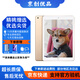 Apple蘋果 iPad Air1/Air2/Air3 迷你mini2/4/5 二手平板電腦ipad iPad Air2 128G WiFi版 95成新