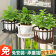 瀟崇欄桿花架鐵藝加粗陽(yáng)臺護欄花架子壁掛懸掛吊籃綠蘿架多肉花盆掛架 加粗款【白色】