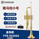 雅馬哈工藝小號YTR-8335GS降B調小號樂(lè )器初學(xué)演奏專(zhuān)用4335款西洋樂(lè )器 YTR-4335金色款（布箱初學(xué)推薦）
