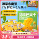 三只松鼠芒果干408g/袋 休閑零食水果干蜜餞果脯娛樂辦公室小吃量販裝
