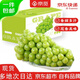京覓澧縣陽光葡萄 單果10-12g凈4.5斤水果禮盒香印青提 源頭直發(fā)包郵