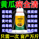 黃瓜黃斑病害專用要病菌清防治霜霉白粉灰霉軟腐病黃病殺菌i劑 單瓶裝【黃瓜病】100ml