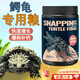鱷龜龜糧專(zhuān)用高鈣高蛋白飼料食物刺龜北美鱷雜佛鱷補鈣增肥爆刺 鱷龜專(zhuān)用飼料【1.5mm/265g】 高含量鈣 優(yōu)質(zhì)蛋白 易吸收