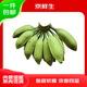 京鮮生 廣西牛蕉凈重5斤 單果100g+ 牛角蕉 芭蕉 新鮮水果 源頭直發(fā)