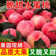 正宗山東蒙陰水蜜桃新鮮水果當季現摘脆甜多汁毛桃子脆桃整箱順豐 3斤特大果【順豐現摘】