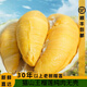 鹿凌青軟糯香甜貓山王冷凍榴蓮果肉樹(shù)熟新鮮水果有核無(wú)殼液氮果肉發(fā)順豐 S+級果 2斤純肉