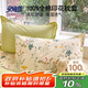 安睡寶（SOMERELLE）100%純棉枕套一對(duì)裝 全棉新疆棉枕芯保護(hù)套枕頭套一對(duì)48x74cm