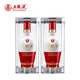 五糧液 1618 濃香型白酒 52度 500ml 52度 500mL 2瓶 雙支裝