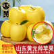 橙小士山東黃元帥蘋(píng)果黃金帥粉面老人新鮮水果香蕉蘋(píng)果整箱 5斤大果【品質(zhì)升級】