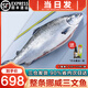 海澤鮮 冰鮮挪威三文魚整條（大西洋鮭）新鮮三文魚刺身即食生鮮魚類 【整條發(fā)貨】 10斤 -11斤