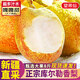 京地達梨子新疆庫爾勒香梨子新鮮水果節(jié)日送禮凈重8斤單果115g+源頭包郵