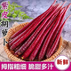 山東特產(chǎn)紫色紫玉水果胡蘿卜新鮮蔬菜當季生吃花青素拇指胡蘿卜 3斤