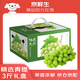 京鮮生 精品陽光玫瑰葡萄 香印青提3斤禮盒裝 單果13g起 生鮮高端水果 