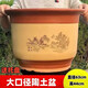 努拉派家用粗陶花盆大號陶土栽花花盆陶瓷落地盆景蘭花盆 特大平口(直徑63高44)