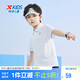 特步（XTEP）兒童童裝男女童柔軟舒適翻領(lǐng)短袖POLO衫 珍珠白 150