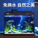 森森金麟超白智能魚(yú)缸小型桌面免換水生態(tài)魚(yú)缸一體缸自循環(huán) 【升級除油膜設計+自動(dòng)喂食+干濕分離】380