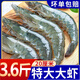海之幫新鮮青島大蝦超大蝦凍蝦白蝦鮮活冷凍對蝦大號青蝦海鮮批發(fā) 16-18厘米活蝦速凍 3.6斤(凈重)
