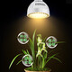 家用全光譜led植物生長燈仿陽光魚缸暴藻綠植苔三角梅月季補光 仿陽光【50w】航空鋁材-有溫度