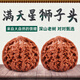 山中玉文玩核桃獅子頭手把玩核頭古玩麻核桃青皮盤(pán)玩把件女生日禮物男 44-45mm精配滿(mǎn)天星1對(duì)-[成品對(duì)]