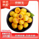 京鮮生 新疆吊干杏 凈重2斤 單果12g+ 生鮮水果