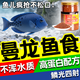 再寵曼龍魚專用飼料上浮型顆粒麗麗魚觀賞魚魚食好養(yǎng)活高蛋白增艷增體 【曼龍魚專用】1桶-嘗鮮款