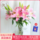 悅多彩AB級優(yōu)質(zhì)香水百合 家庭辦公室各色生活鮮花 昆明基地 現(xiàn)采直發(fā) 粉色百合20朵（雙頭10枝）