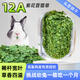 牛寵（niuchong）2025苜蓿草寵物兔子糧食磨牙飼料干草兔糧食品荷蘭豬龍貓主糧牧草 12A紫花苜蓿草720g