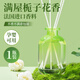 左赫梔子花香薰酒店專用精油家用室內(nèi)持久留香房間臥室?guī)諝馇逍聞?【1瓶裝】仲夏梔子（梔子花香）