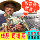 [活蟹 ]伊樂(lè )草 百里挑一六月黃蘇州太湖大閘蟹鮮活現貨中秋禮盒 精品螃蟹 六月黃2.8-3.1兩 8只