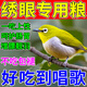繡眼鳥專用飼料紅肋繡眼鳥防水便配方提性開口促鳴高營(yíng)養(yǎng)顆粒鳥食 500g 1罐 【繡眼鳥專用】