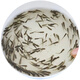 喂烏龜飼料魚(yú)小魚(yú)活體養殖活魚(yú)龍魚(yú)活食飼料淡水魚(yú)苗草魚(yú)苗鯽魚(yú)苗 【飼料魚(yú)2-3厘米60條】體驗裝 【好評退2】